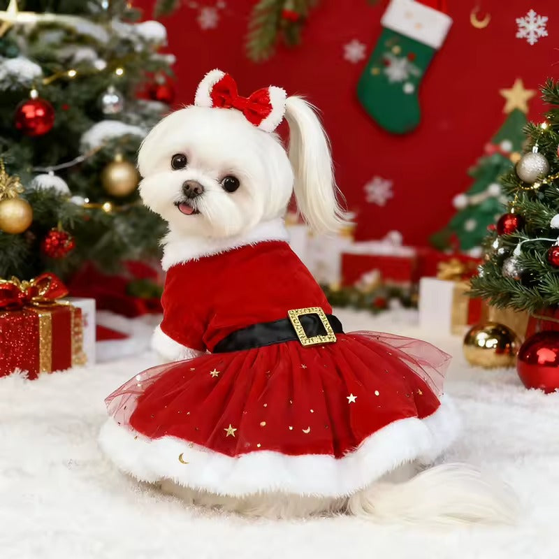 Festive Paw Christmas Dress
