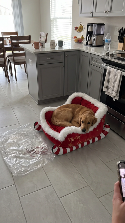 Dog pets Sled (Private Lisitng U5152915)