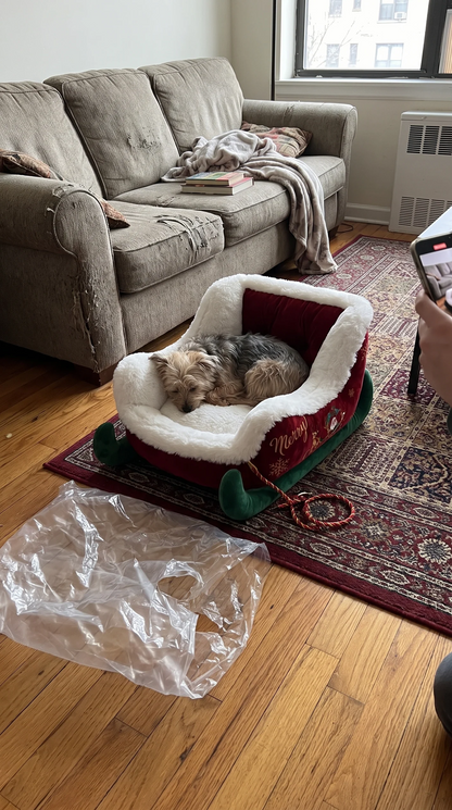 Dog pets Sled (Private Lisitng U5152915)