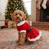 Dog 1